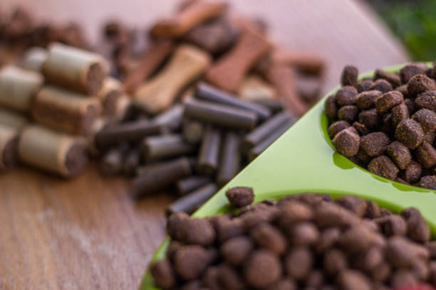 قیمت خرید مکمل دام + فروش ویژه